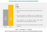 Cosmetic Pigments Market report analyzes the key growth strategies adopted by the leading market players between 2013 and 2019