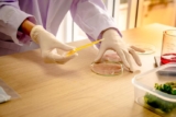 How Is Protein Concentration Measured Using SDS PAGE Techniques?