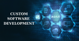 Custom Software Development, A General Overview