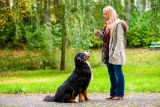 Bobs Pet Shop Inc In Furlong, PA 18925 Offers Quality Puppy Training And Obedience Classes