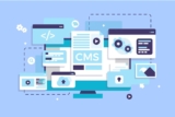 Web Design and Development Packages That Grow With Your Business