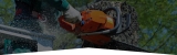 Best tree trimming Expert in Ottawa | Croft Tree Experts