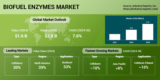 Environmental Concerns and Rising Demand for Renewable Energy to Drive Biofuel Enzymes Market Growth