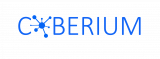 Cyberium Inc Delivers the Best Low Code Blockchain ERP Solutions