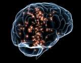 Neurovascular Devices Market Size, Share, Growth, Trends and Industry Analysis Report, 2019 to 2026