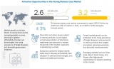 Stoma Care Market / Ostomy Care Market, Revenue, Trends and Market Share by Region to Forecasts 2026