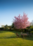 5 Ways to Keep Your Garden Healthy