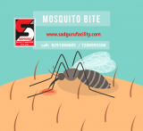 Pest Control Services in Mumbai – Sadguru Pest Control