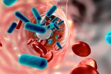 Sepsis Diagnostics Market By Top Key Players | Seegene Inc., Axis-Shield Diagnostics and Immunexpress