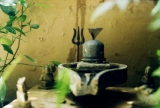 pandit in trimbakeshwar | kaal sarp dosh puja in trimbakeshwar