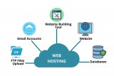 5 Reasons Why Web Hosting Is Important For Your Website
