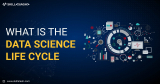 What is the Data Science Life Cycle?