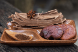 Best Mushroom Supplement – Most Vital Tips
